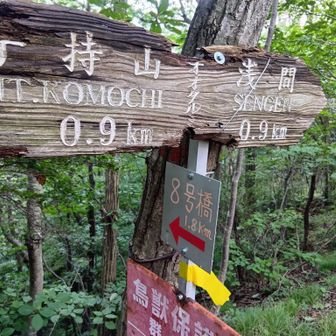 復路、大垂水。
8号橋方面に行きます。
