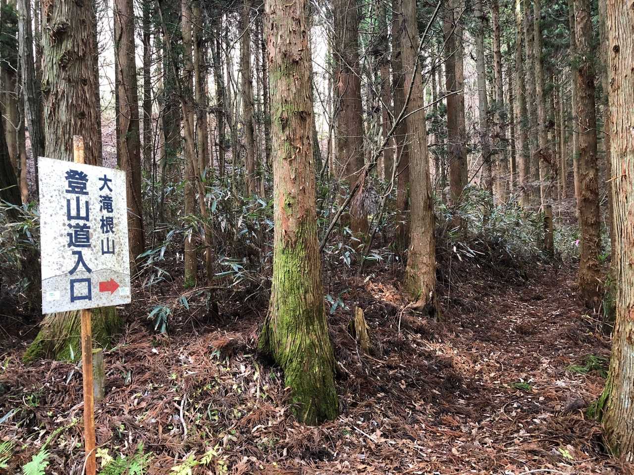 鬼穴登山口-大滝根山 周回コースの写真