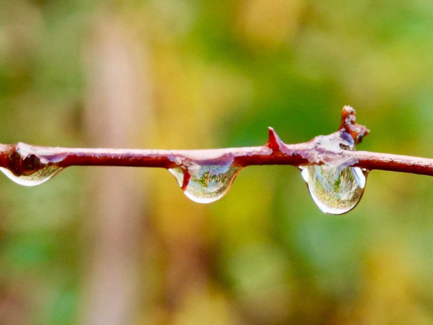 💧