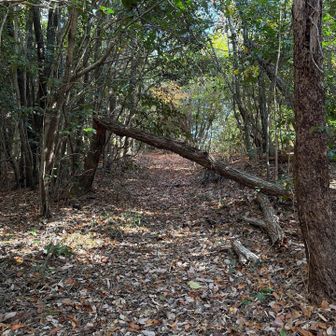 沢山の石仏あります