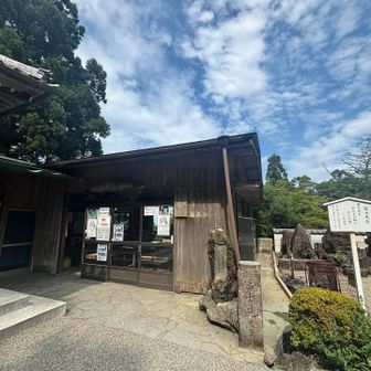 塔婆のレディーを見にきたがお休みでした