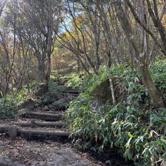 鍋割山めざし登ります。
わりと緩くていい感じ😄