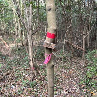 屋島北嶺
小さい看板があるだけでした