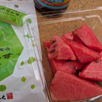曇り空で湿度が高くて汗だく💦
保冷バックに入れてきた冷たいスイカとゼリーが美味しい🍉