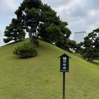 樋の口山　この山だけ登山道がなく垣根に囲まれていました　山頂に立ちたかったなあ😢