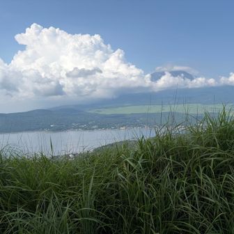 やはり今日も富士山は雲に隠れて良く見えませんでした💦