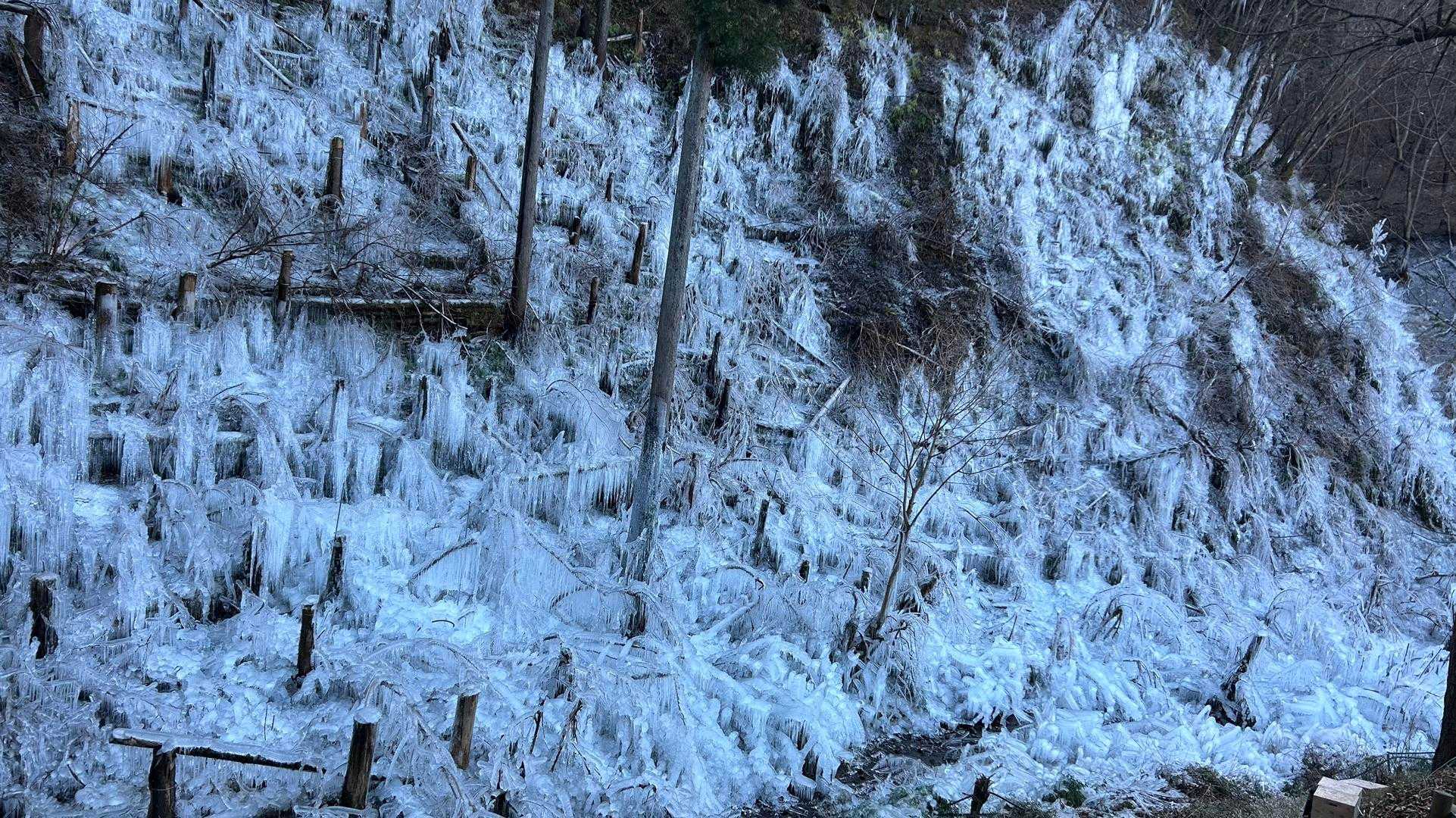 兵の沢コース登山口-二子山 往復コースの写真