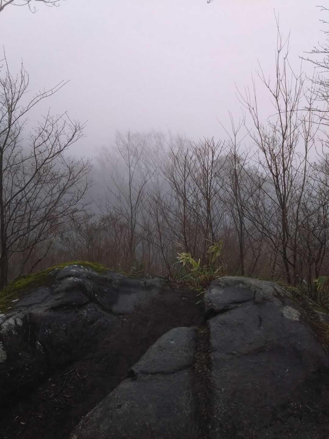 花塚山 往復コースの写真