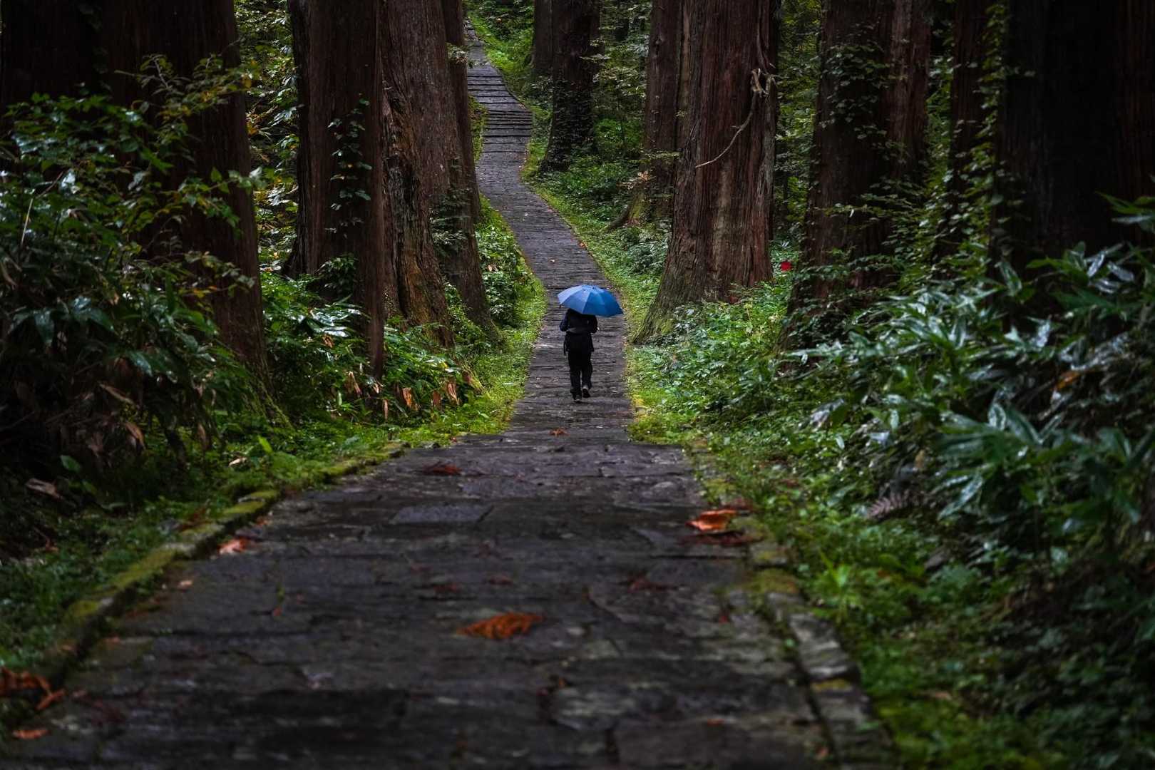 羽黒山登山口-羽黒山 五重塔-休憩所-出羽三山神社 往復コースの写真