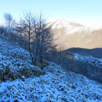 すっかり明瞭な良い道になった。駐車場に車が見える。つづら折らない急降下も大好き♪だが、