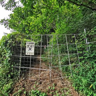 登山口に降りました