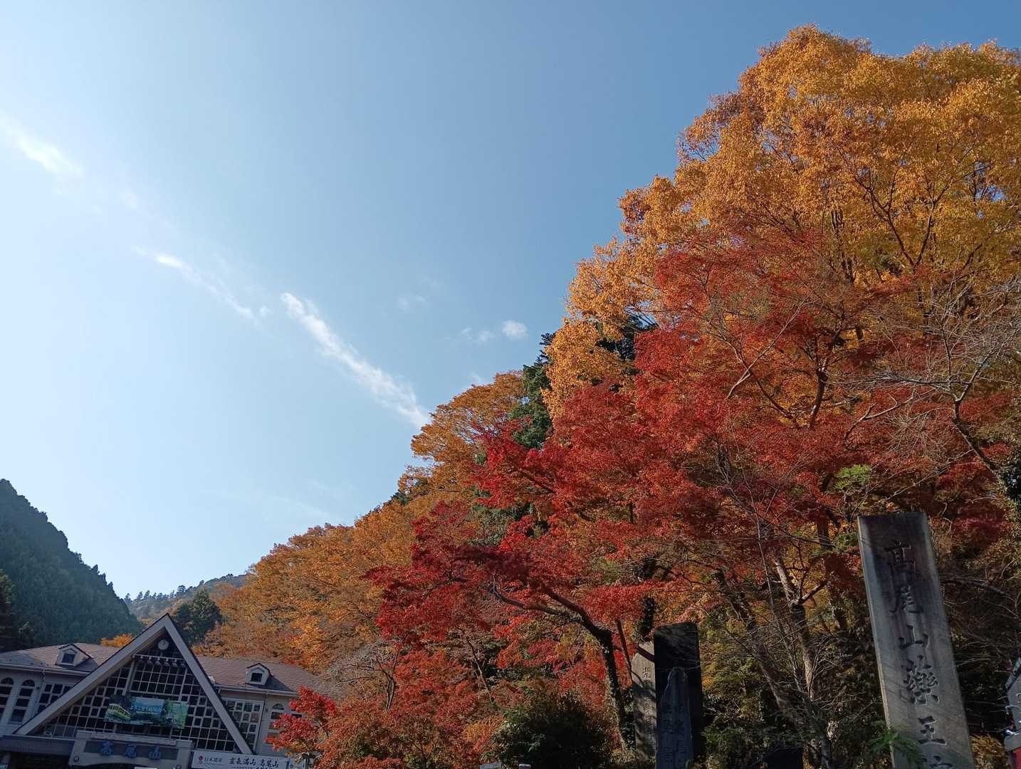 ケーブル駅近くの紅葉
ケーブルを待つ人の数が凄かった！