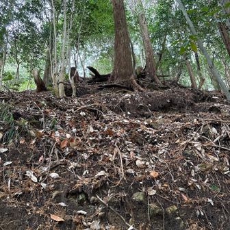 六甲山・長峰山・摩耶山 紅葉谷第四堰堤は下り口が見つけられない。
上を見ればトラロープが張ってあるのが見えるので、そこまで上ってからさらに向こうで沢におります。
ここかなりわかりにくい。