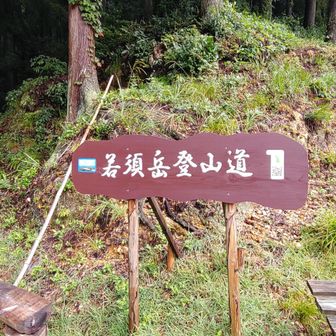 いつも綺麗に整備していただきありがとうございます🙏