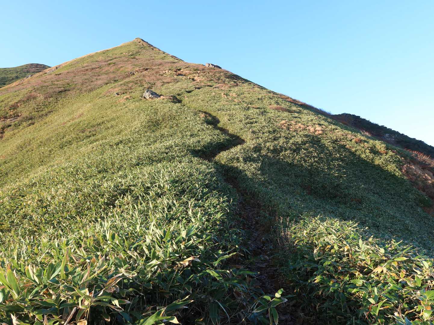 茂倉岳への登り、写真のてっぺんはニセピークですけどね
これぞ谷川の道って感じ🎵