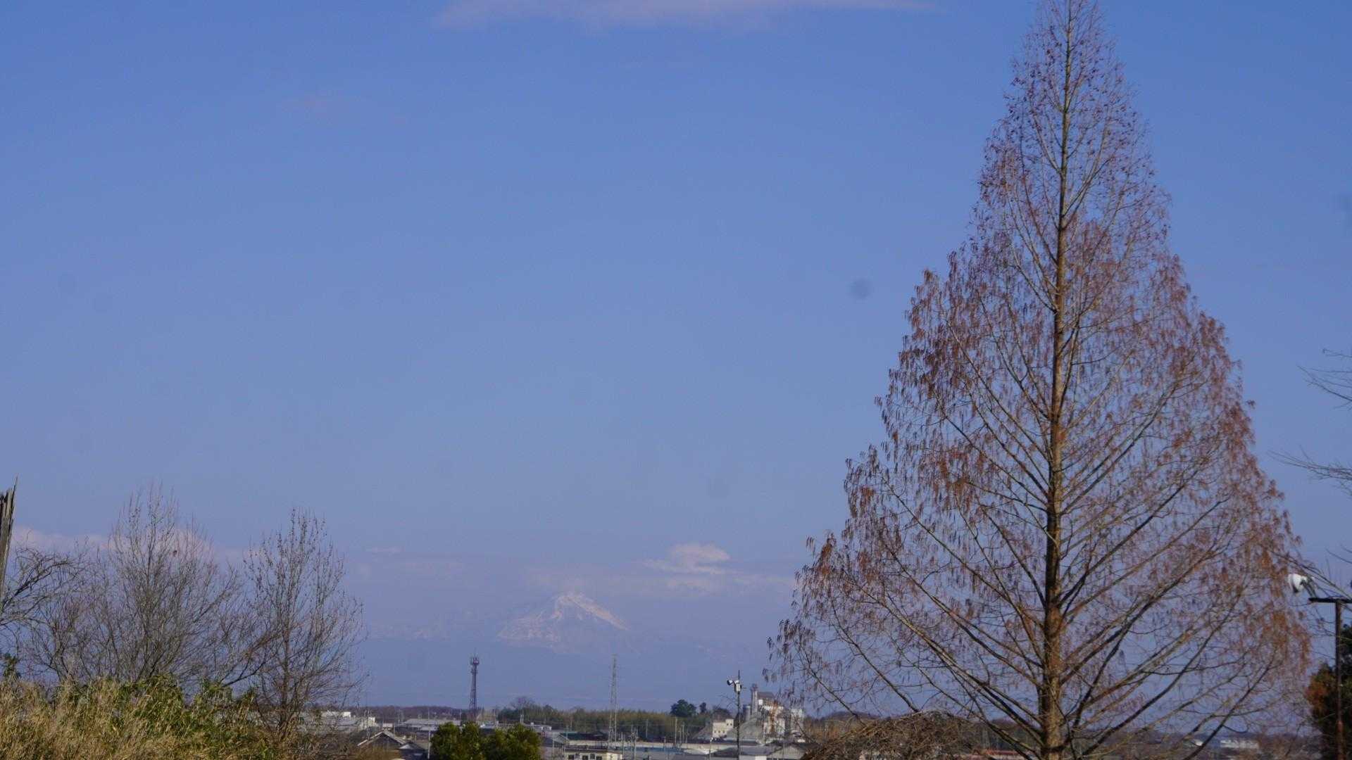 大泉寺-稲荷山 周回コースの写真