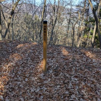 権現山　視界はないです