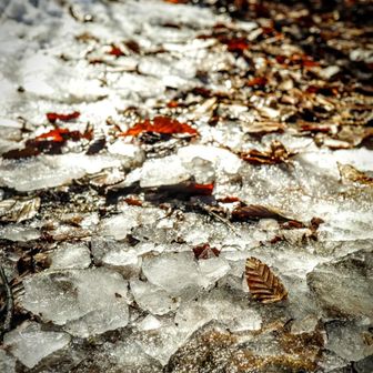 地面が凍って割れている。
パリパリ、、🤔

あ〜、板チョコアイスが食べたすぎる、、