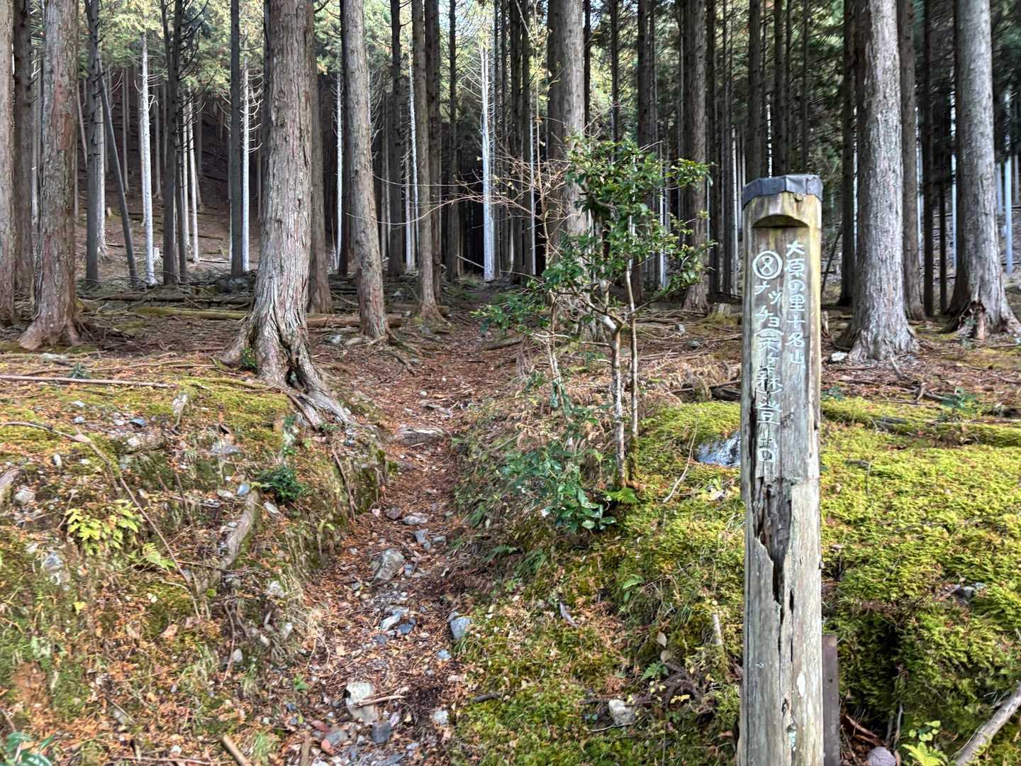 🚙を路肩に停めて登山開始です🚶