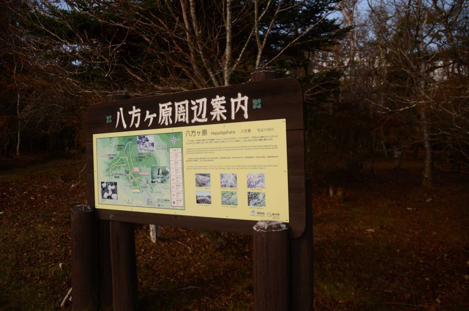 初めて来ました八方ヶ原。
山に登れない人でも遊歩道があるので楽しめそうです😆
最初、ここ散策でも良いかな？とまた気が変わりそうだったけど、登山道へ進む事に…
