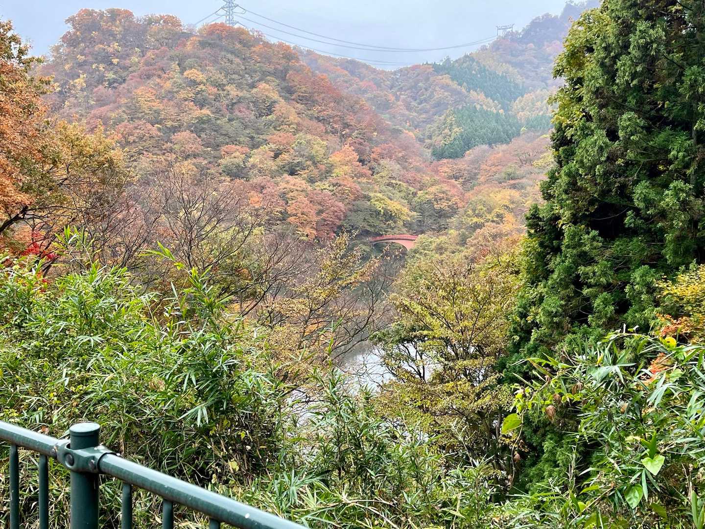 トンネルの合間には碓氷湖が見えてきました