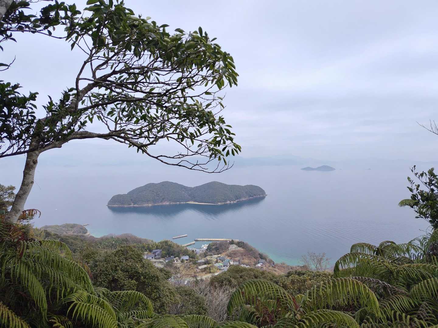 途中の眺望ポイント
さらに明るくなって海の透明なところがよく見える
正面は小柱島
港も見える