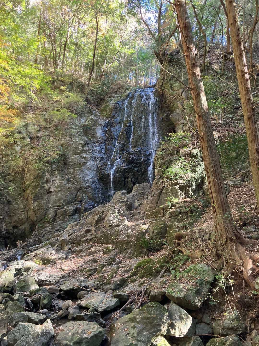 粟ヶ岳-高塚山-岳山 周回コースの写真