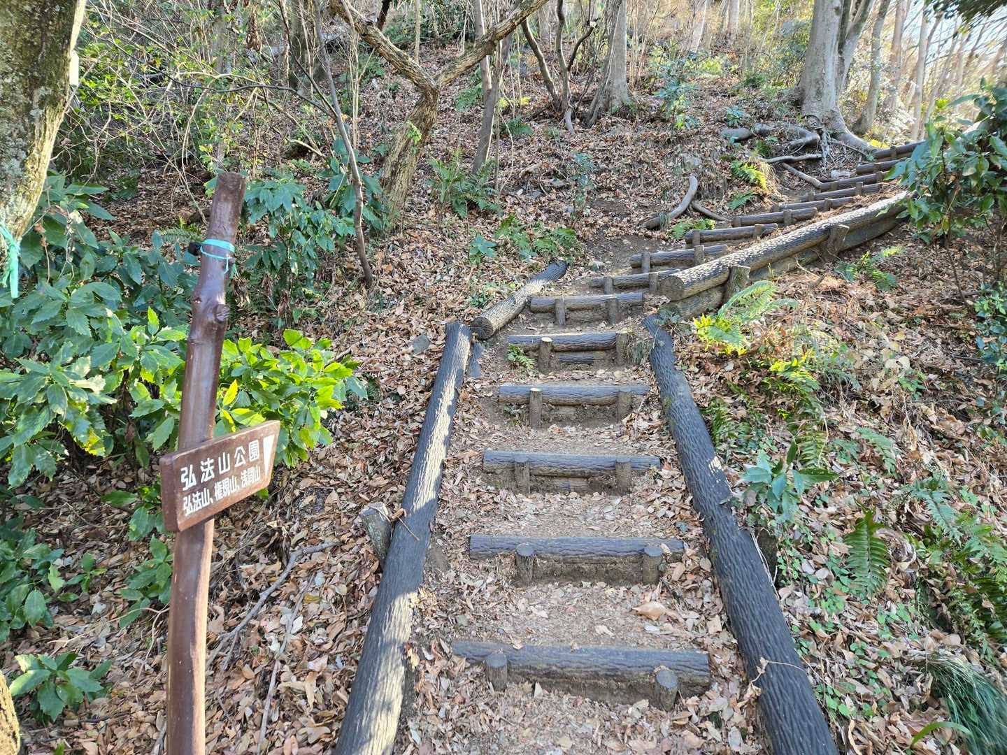 秦野駅-弘法山公園入口登山口-権現山-弘法山-善波峠-善波 縦走コースの写真