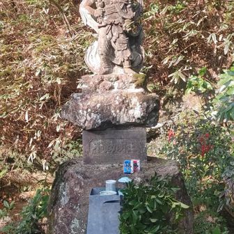 イケメン👹池の水流れないのかな😢