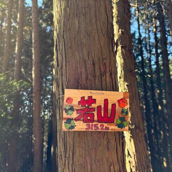 そこらじゅうに個性豊かな山頂プレートあり