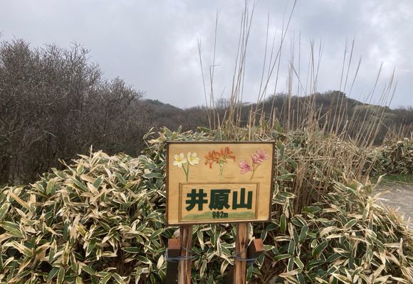 山ちゃん｜長崎県の登山記録 | YAMAP / ヤマップ