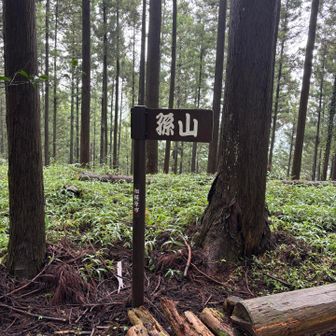 行ってみたかった孫山だ😆