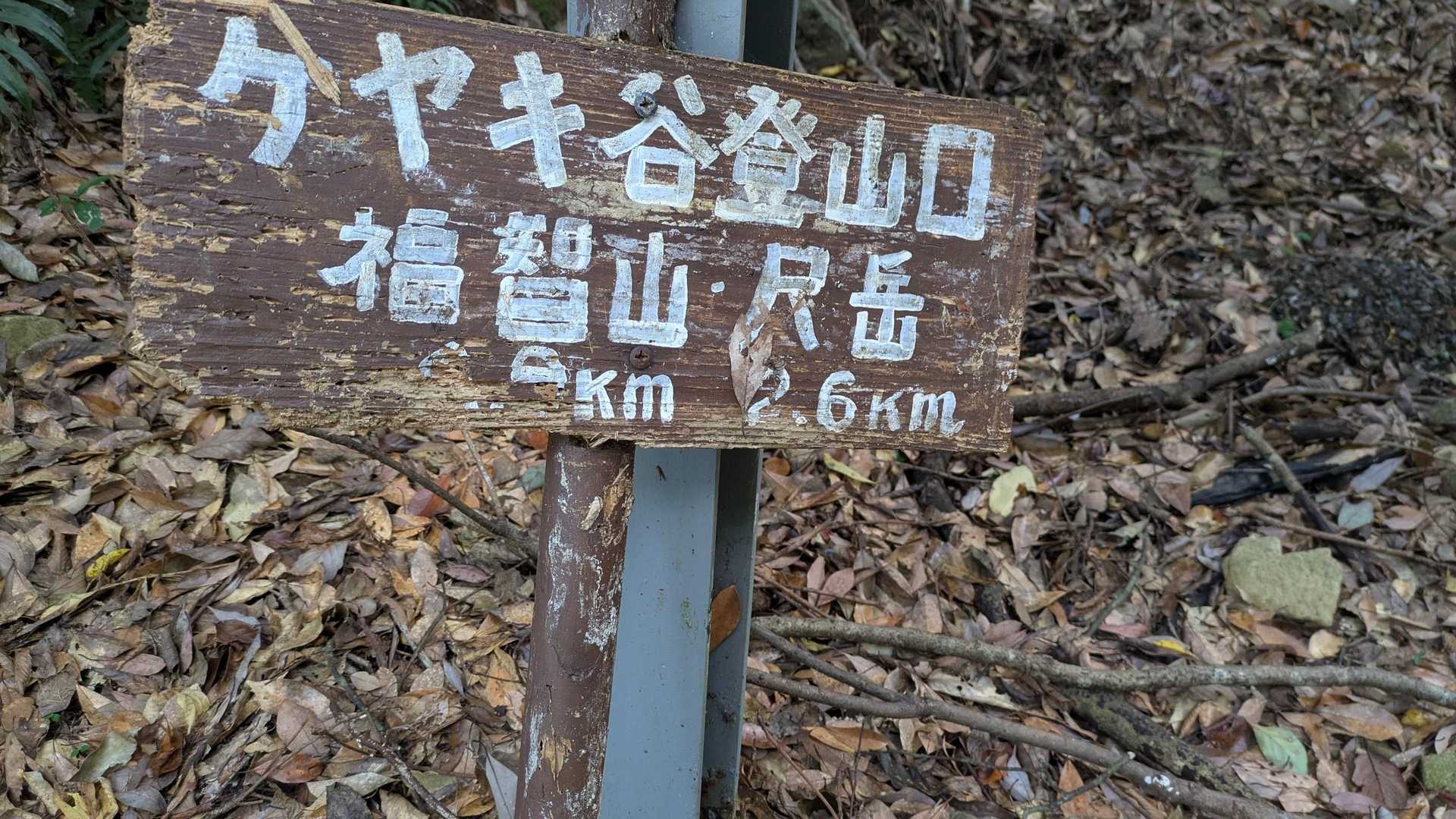 スタート