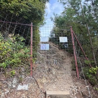 山頂近くの防獣柵