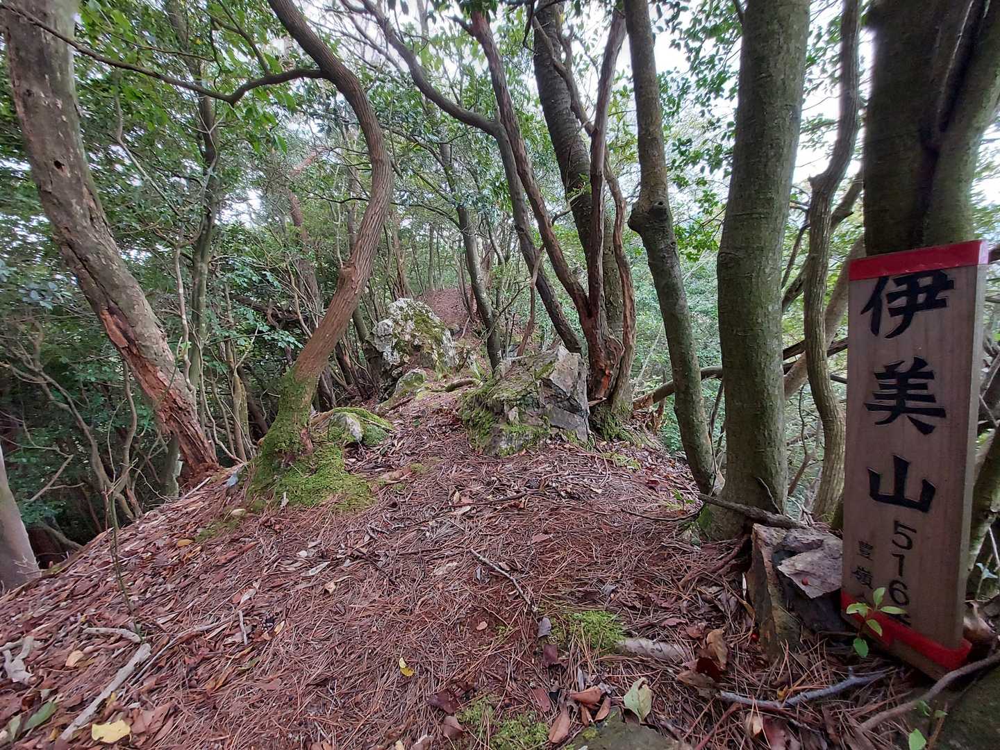 伊美山登頂