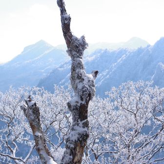 向こうは土小屋方面
