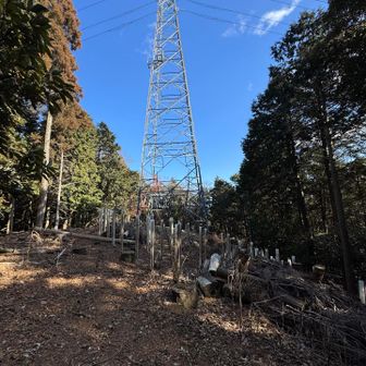 次の小富士に向かうが、地図も見ずに
歩き易い方向に歩いて行くと鉄塔に出合う。
違う方向に2〜3分歩いて道間違いに気付き戻る。
