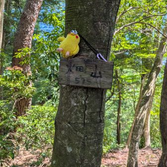 畑山に登頂です🙌ヽ(=´▽`=)ﾉ
🚩595m 相棒もお疲れ様♪