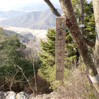 盤座の上に千丈寺山　山頂標識　標高590ｍ
