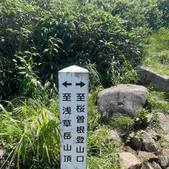 周回するので右へ→
