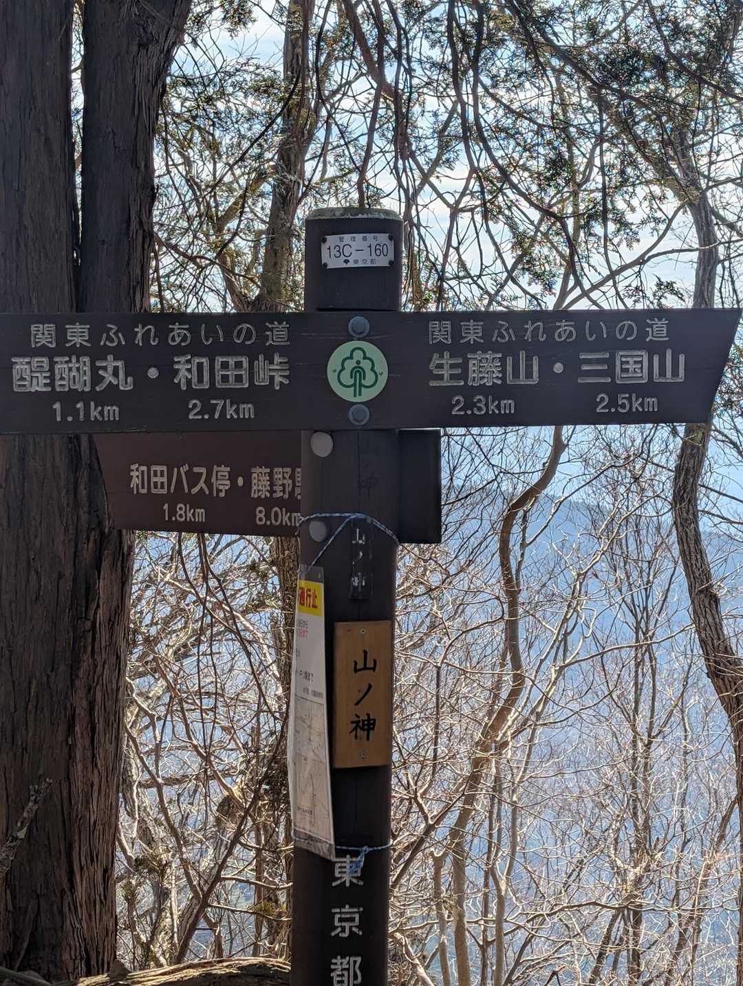 山の神🙏