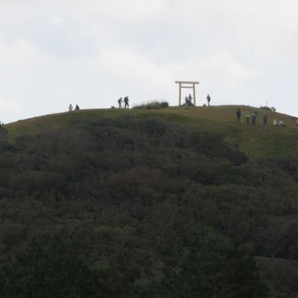 頂上、⛩が見えます。