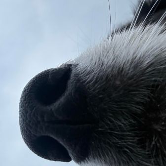 鼻ポチ活動終了〜

この後、閉園前に無事に出れたよー、お化け👻もお墓に帰ってメデタシメデタシ😮‍💨

あっmiwanさんとノリさんの活動日記にお化けが👻写ってる〜😱、怖いもの見たさに見ても良いけど呪われるかもね😁