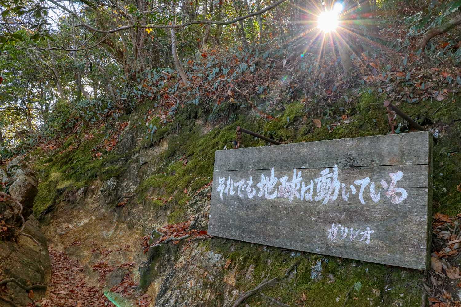 その看板に木漏れ日☀️は
そりゃ、撮るでしょ(^-^)v