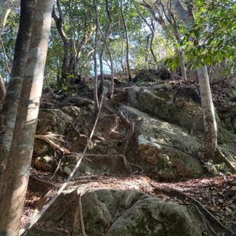 さて見返りまで戻る