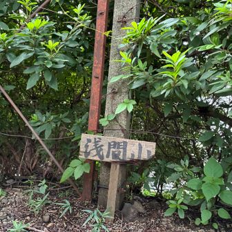 参拝したあと、小さな標識をパチリ