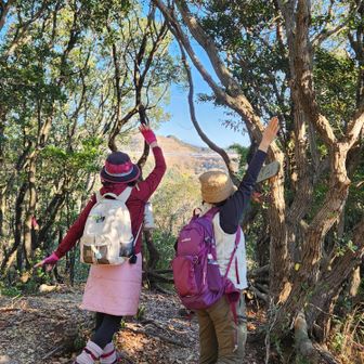 アップにすると中央に富士山🗻います(^^)v
亀さんポーズ❗
