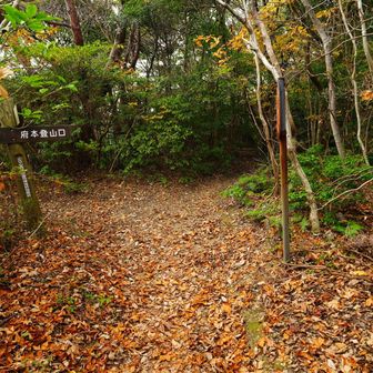 荒尾展望台から降ると
変則四差路に出るので、
左の樺登山口の方へ。
右へ行くと府本の中央登山口。