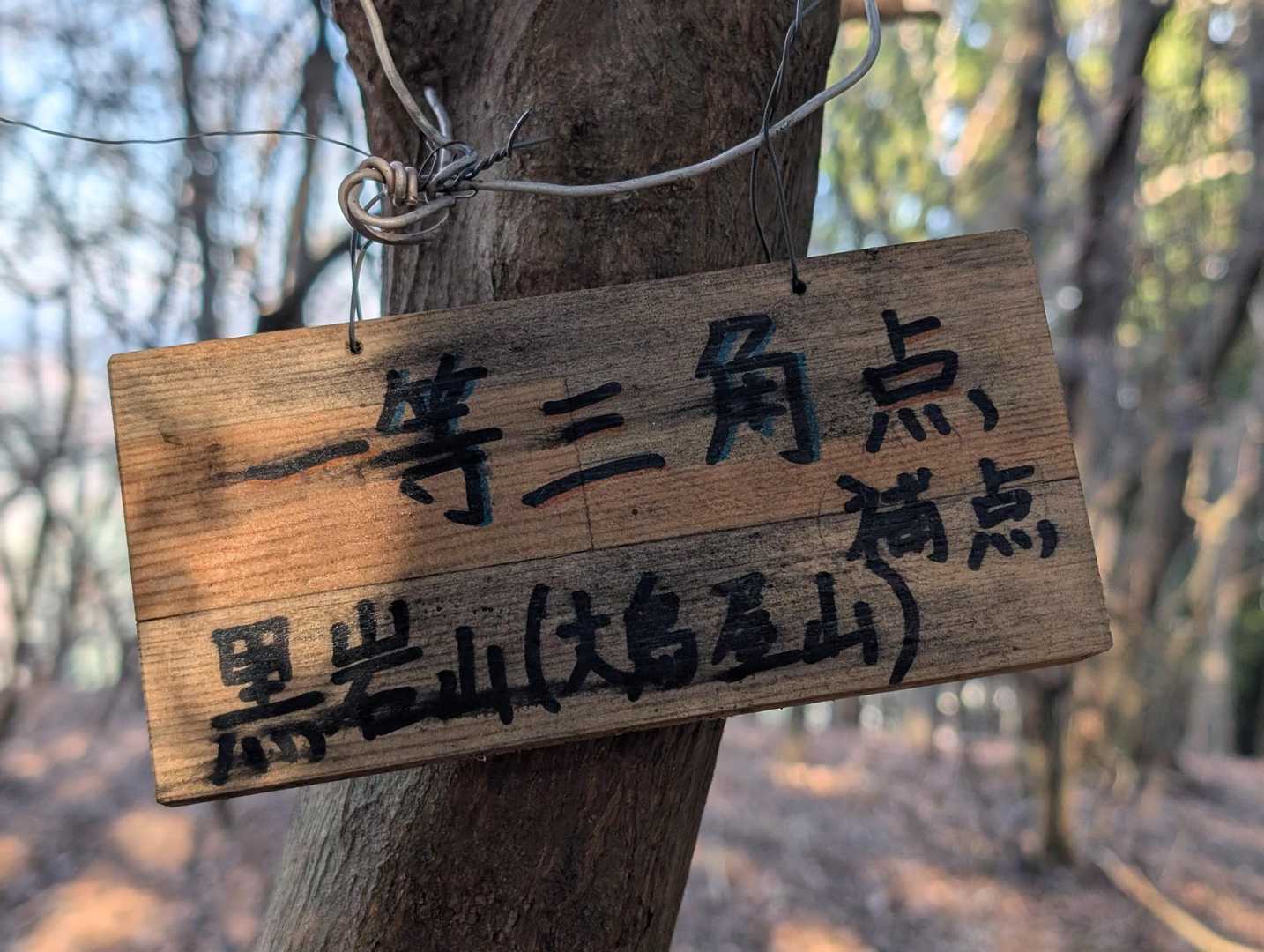 補点だって立派な一等三角点さま。