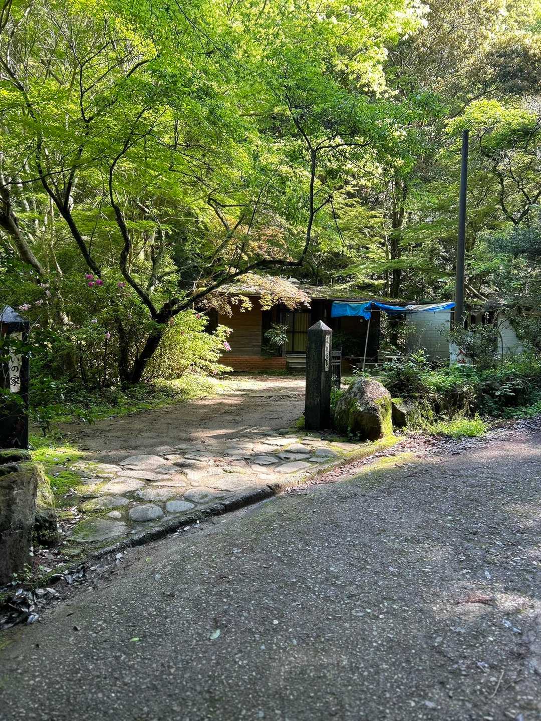 憩いの家　イイ雰囲気
